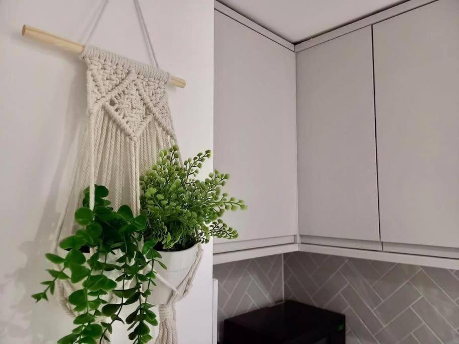 Flash Sale Kemptown 1 Bedroom Flat Bn236Stg04 Brighton Екстер'єр фото